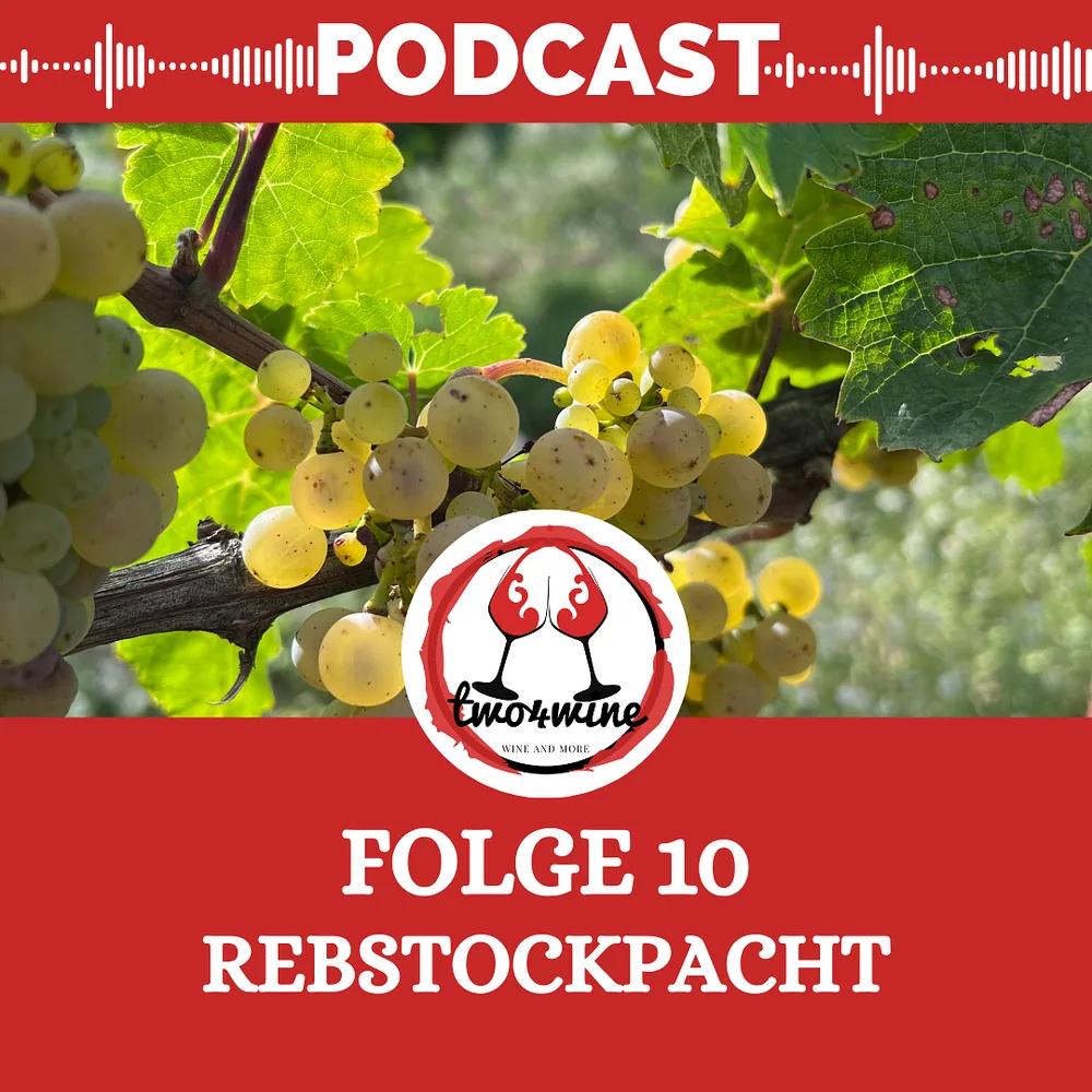 Folge 10 – Rebstockpacht